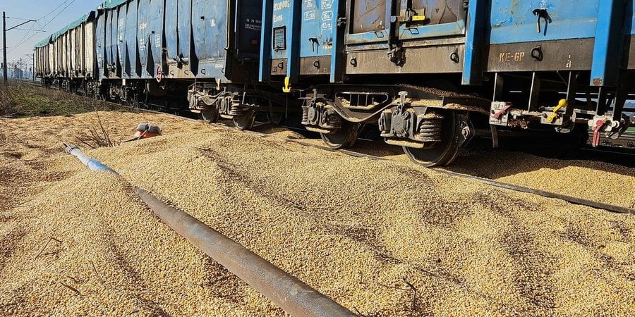 30 тонн української кукурудзи, яку висипали із вагонів у Польщі, утилізують