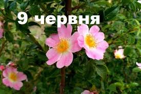 9 червня – яке сьогодні свято і що не можна робити сьогодні