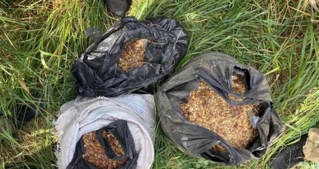 Майже 34 кілограми бурштину вилучили поліцейські у Вараському районі