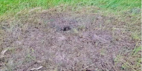 На Київщині двоє чоловіків підірвались у полі на російській міні