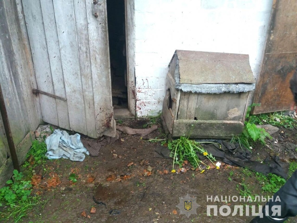 На Рівненщині судитимуть чоловіка, який вбив сусідського собаку