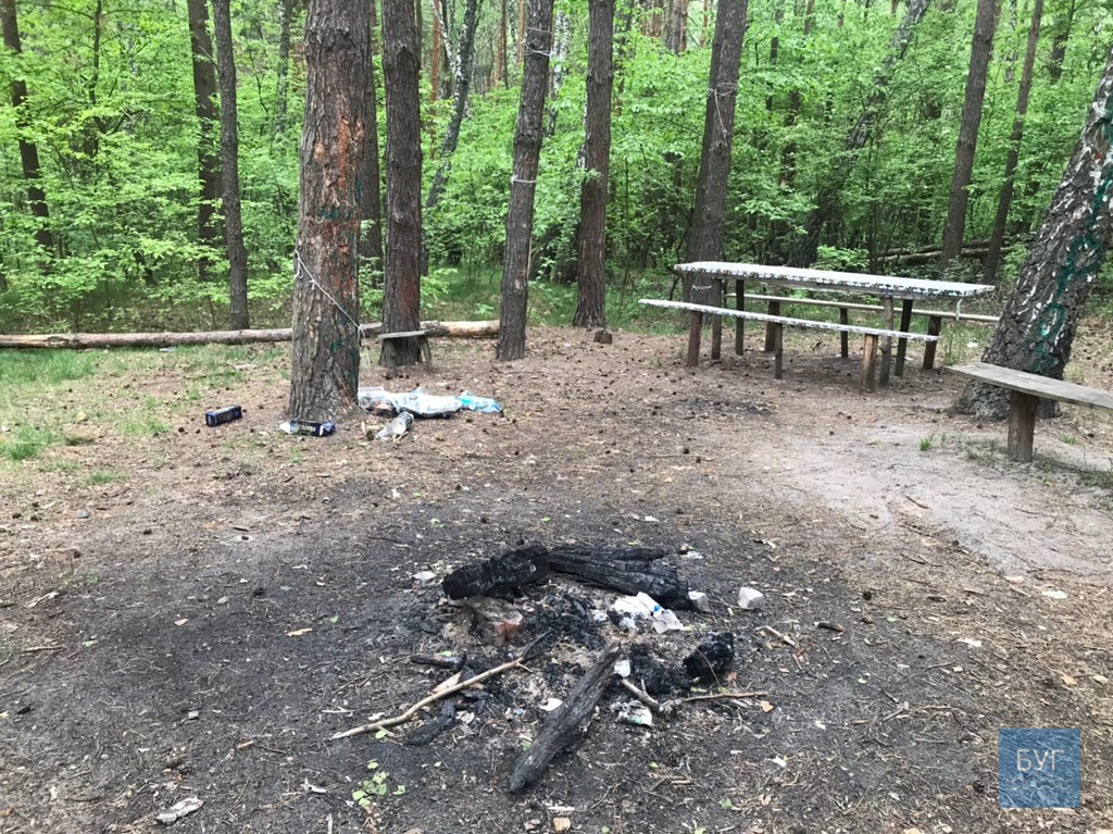 На Рівненщині ліси тонуть у смітті