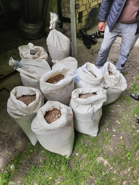 На Рівненщині викрили групу осіб, які незаконно видобували бурштин