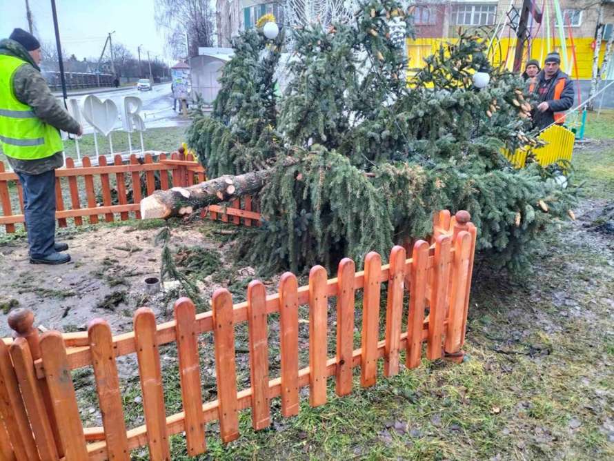 На Рівненщині впала новорічна ялинка