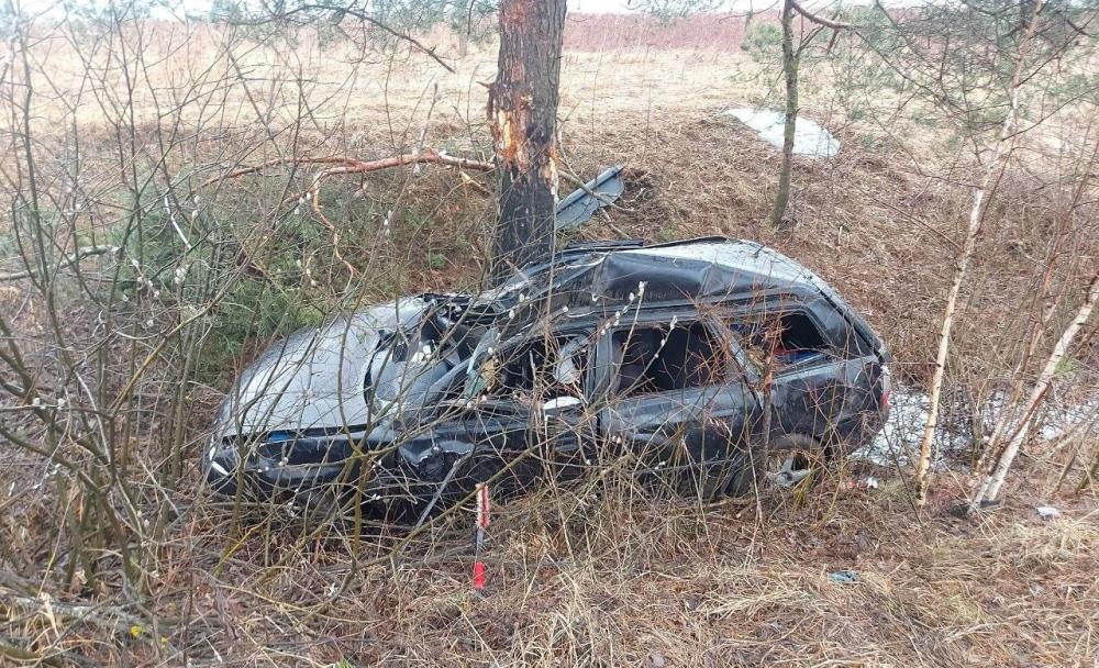 На швидкості в’їхав у дерево
