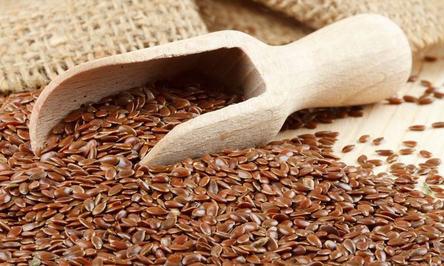 Насіння льону: користь і шкода популярного продукту