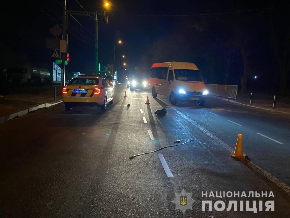Перебігав дорогу на