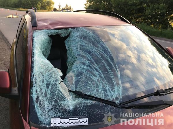 Поліцейські встановлюють особу загиблого у ДТП велосипедиста