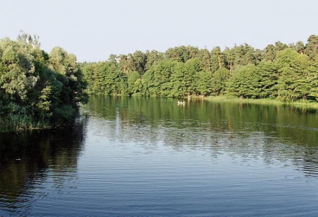 Поліцейські розповіли, чому втопився костопільчанин
