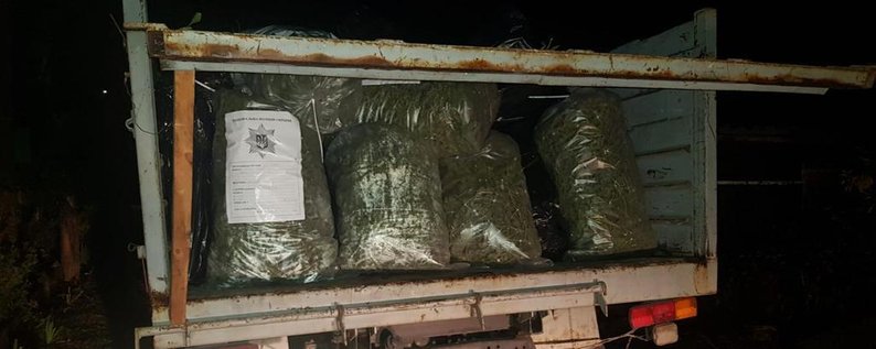 Сімейний бізнес: у пари на Миколаївщині вилучили конопель на суму майже 4 млн грн