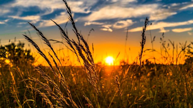 Синоптики розповіли, яким буде початок літа
