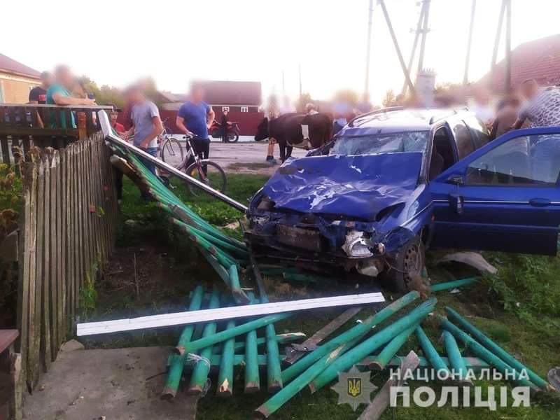 На Березнівщині нетверезий водій наїхав на худобу: загинуло дві тварини