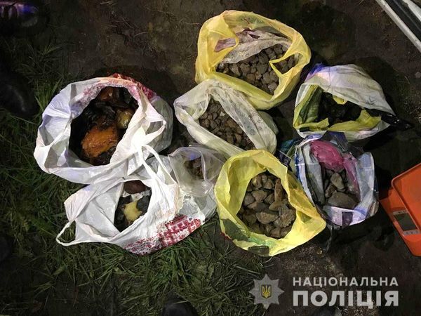 У Рокитному викрили чоловіків, які таємно перевозили бурштин