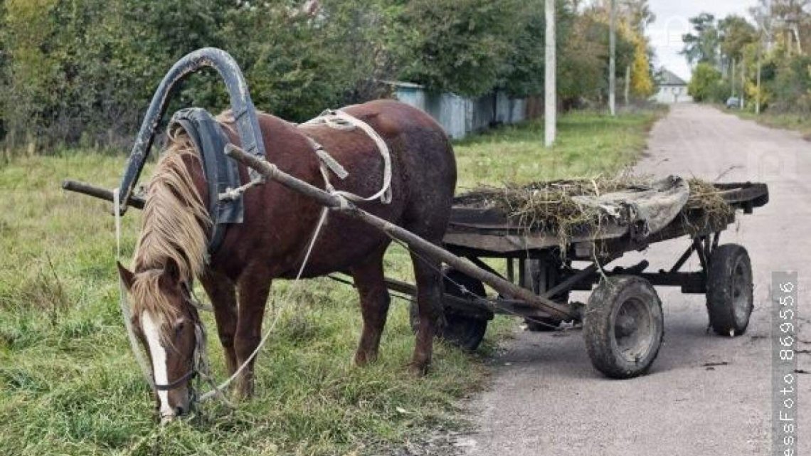 У селі на Рівненщині 11-річна дівчинка впала з підводи і травмувалась