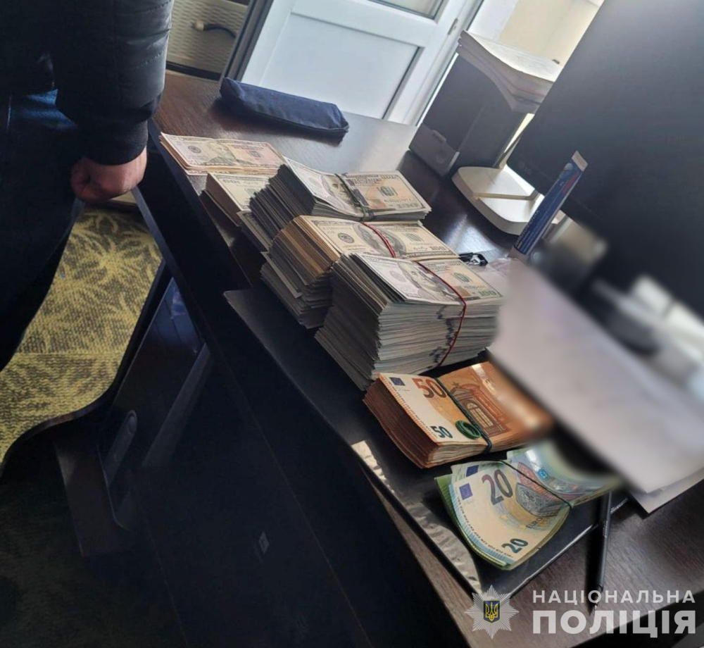У заступниці голови ВЛК і лікаря знайшли майже 8 млн грн
