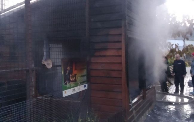 Внаслідок пожежі у луцькому зоопарку загинули тварини