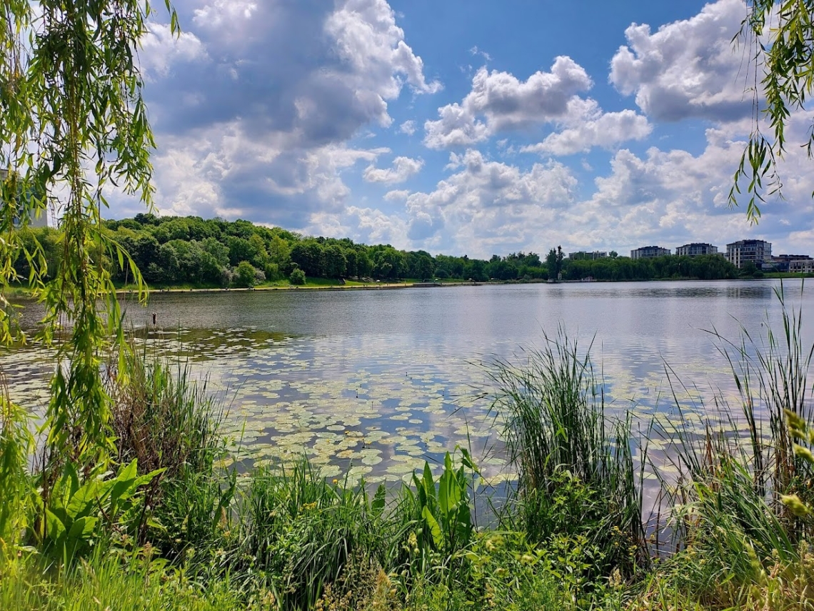 Водойми у Рівному не придатні для купання, натомість у Здолбунові – все гаразд