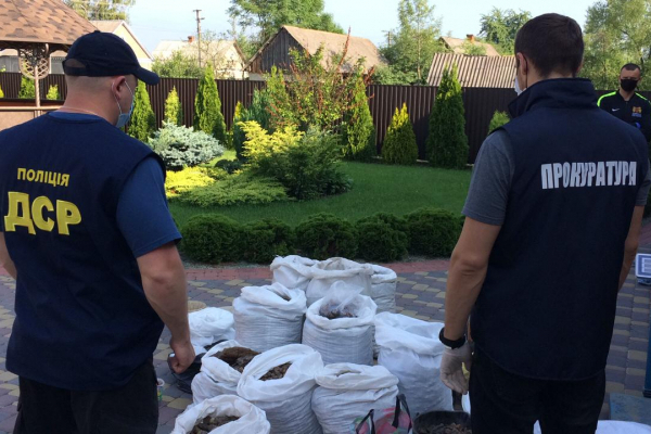 За півроку на Рівненщині вилучено понад 1540 кг каміння бурштину