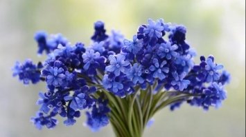 16 червня: свято, прикмети й іменинники