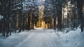 20 січня 2022 – яке сьогодні свято: традиції, заборони і прикмети