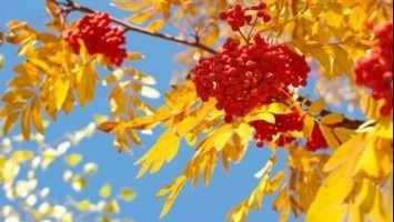 23 вересня 2021 – яке сьогодні свято: традиції, заборони і прикмети