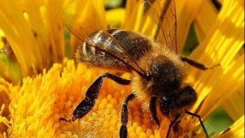 28 квітня – яке сьогодні свято та чого не можна робити