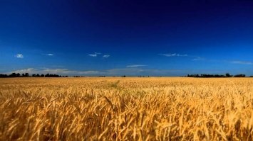 29 липня 2021 – яке сьогодні свято: традиції, заборони і прикмети 
