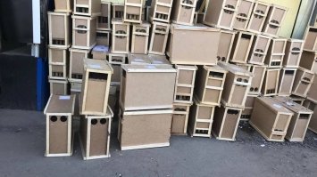  8 мільйонів бджіл відправили Укрпоштою із Закарпаття