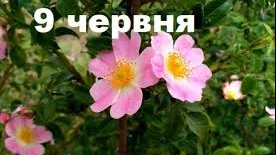 9 червня – яке сьогодні свято і що не можна робити сьогодні