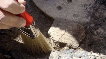 Алкогольний напій віком понад 5 тисяч років знайшли у Китаї