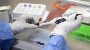 Американські вчені знайшли докази штучного походження COVID-19
