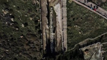 Археологи випадково розкопали скам`яніле дерево віком 20 мільйонів років