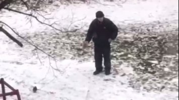 Чоловік вигулює голуба на повідку. Відео дня