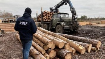 У незаконній порубці лісу підозрюють лісничого та його спільників