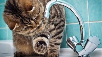 Декілька вулиць Рівного знову без водопостачання