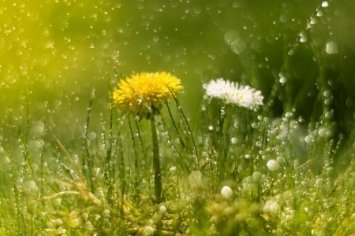 До України наближається атмосферний фронт: синоптик розказала, як зміниться погода