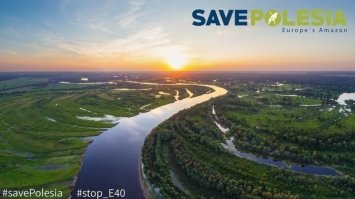 Екологи закликають підписати петицію про збереження природи та річок Полісся