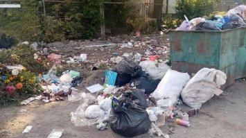 Гори сміття в Дубно