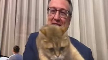 Кіт Геращенка випадково потрапив у прямий ефір (ФОТО, ВІДЕО)