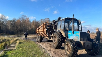 Майже 100 