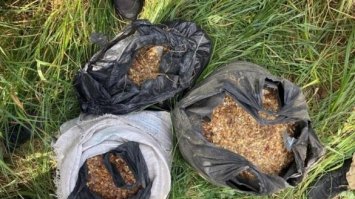 Майже 34 кілограми бурштину вилучили поліцейські у Вараському районі