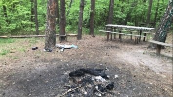 На Рівненщині ліси тонуть у смітті 