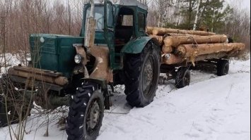 На Рівненщині незаконно вирубали і намагалися вивезти ліс