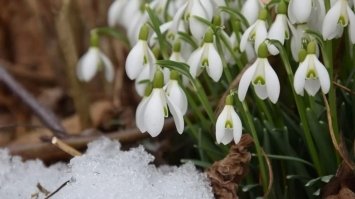 На Рівненщині очікується потепління