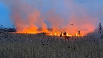 На Рівненщині, вперше в цьому році горіла суха трава та очерет