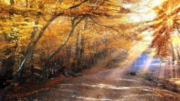 На Рівненщину після першого снігу прийде потепління