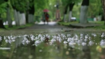 На Рівненщину йдуть дощі та похолодання до +8