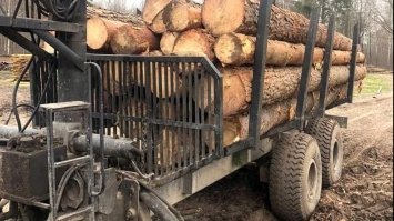 На Сарненщині поліцейські вилучили незаконну деревину та викрили лісорубів
