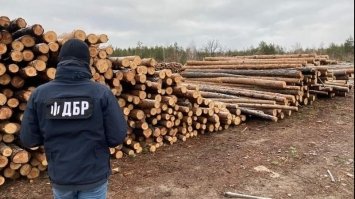 На Рівненщині судитимуть лісничого і трьох його спільників
