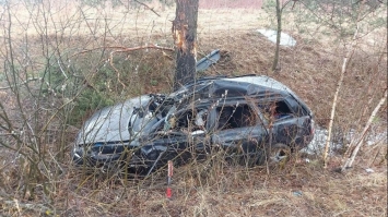 На швидкості в’їхав у дерево